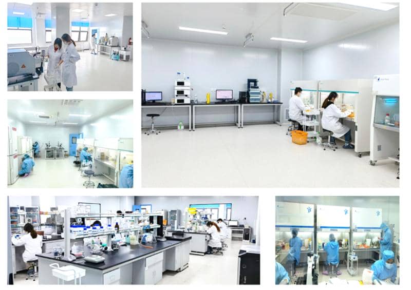 武漢國家生物產(chǎn)業(yè)基地公共服務平臺—光谷抗體發(fā)現(xiàn)與篩選公共服務平臺