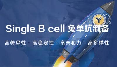 普健生物Xten™ Mab Single B 兔 單克隆抗體開發(fā)服務(wù)驚喜上市