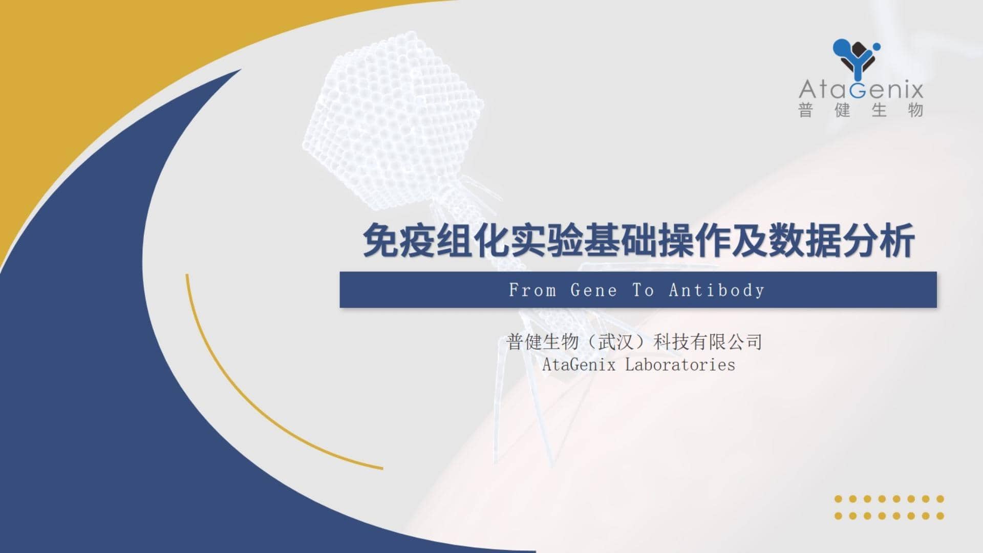 【基礎(chǔ)實(shí)驗(yàn)一篇搞定】免疫組化——IHC實(shí)驗(yàn)基礎(chǔ)操作