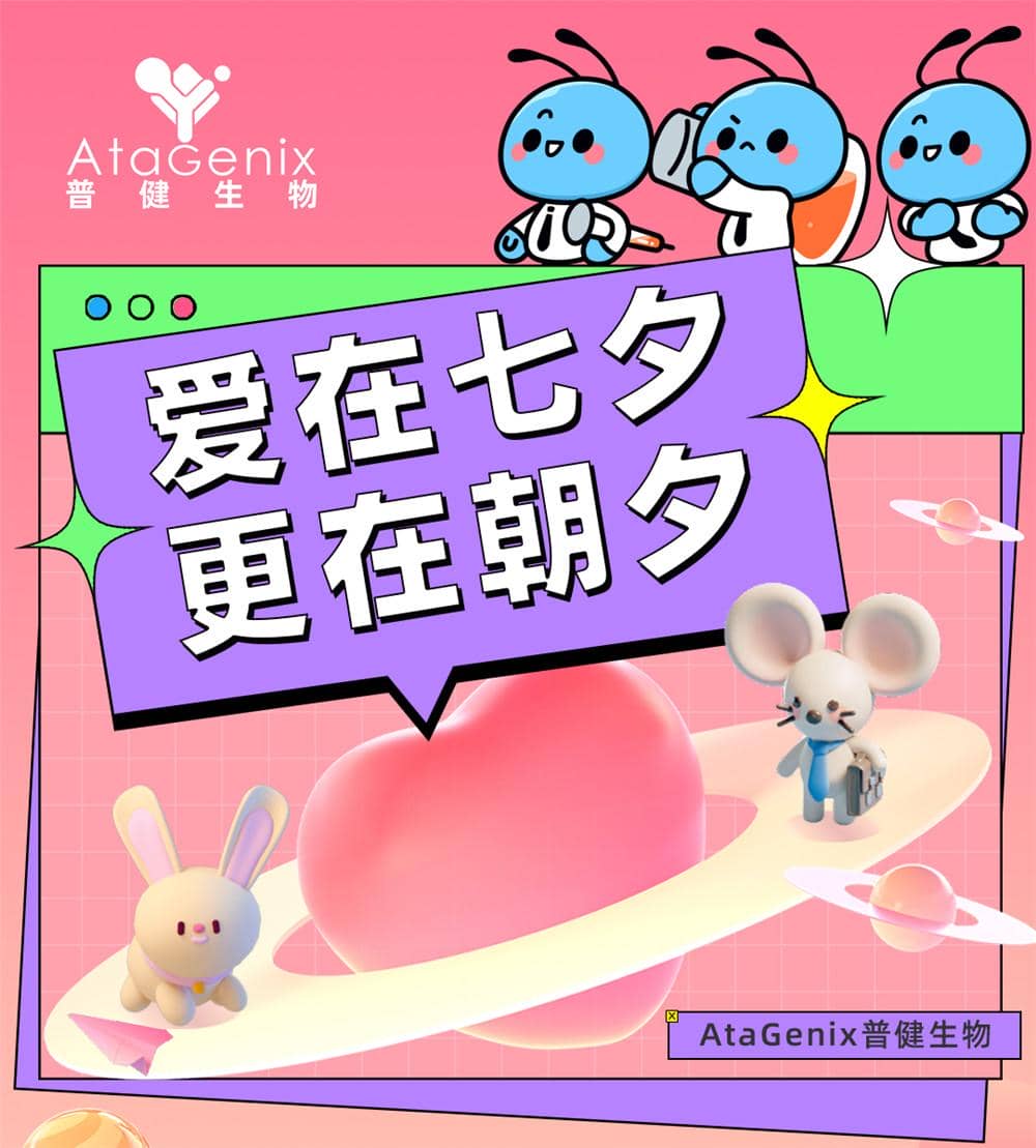 愛在七夕，更在朝夕