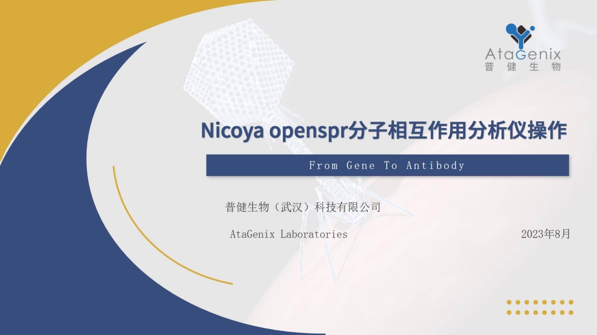 基礎(chǔ)試驗(yàn)操作篇——SPR親和力測定