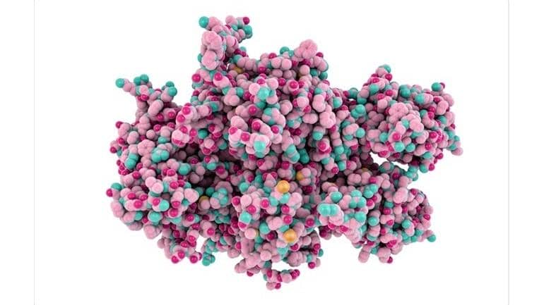 高效實現長效化重組蛋白制備 助力長效重組蛋白藥物開發